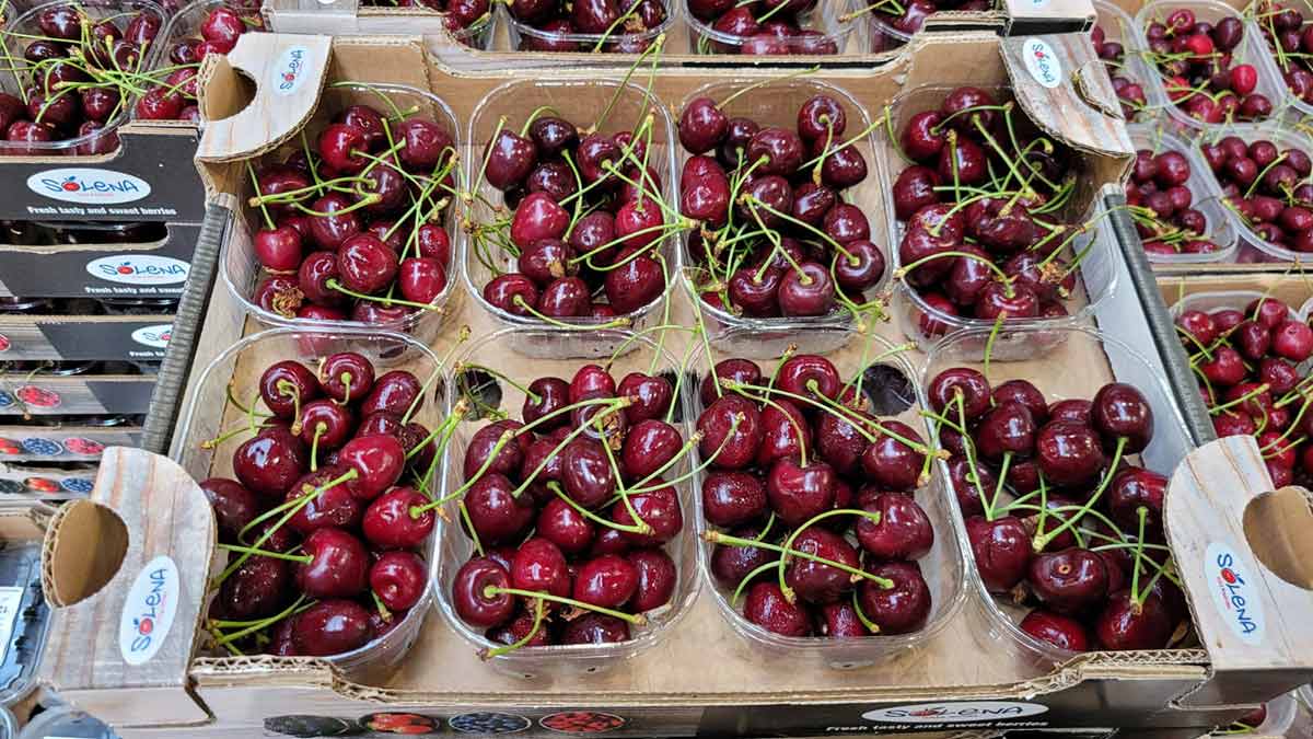Ciliegie - Trentino - 8 euro al chilogrammo